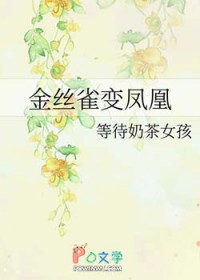 金丝雀变凤凰